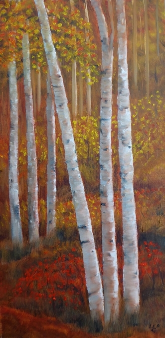 Woodland Colours #1