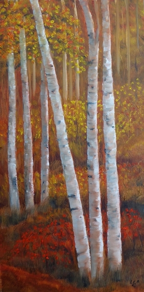 Woodland Colours #1