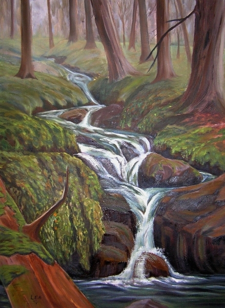 Misty Mountain Creek