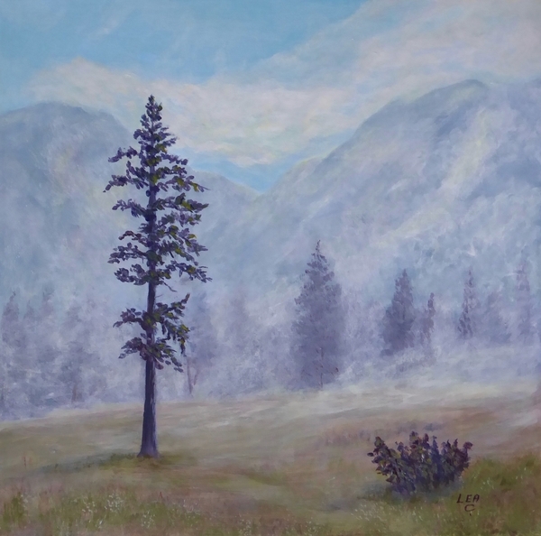 Misty Mountain Morning