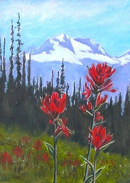 Meadows Paintbrush
