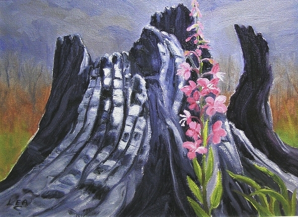 From Death New Life Springs